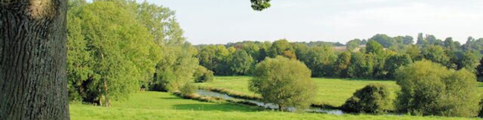 River Itchen East of Chilland The river from the itchen Way between Itchen Abbas and Chilland.