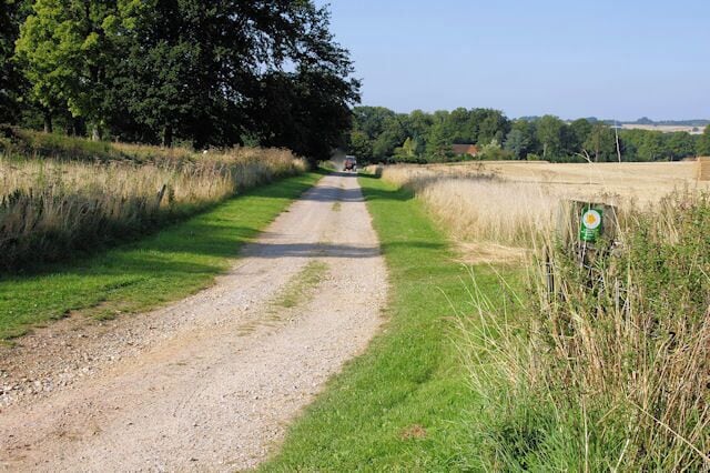 Farm Track Crossing the Itchen Way Looking down a farm track to the east of the golf course. The Itchen Way and St Swithun's Way cross from right to left.