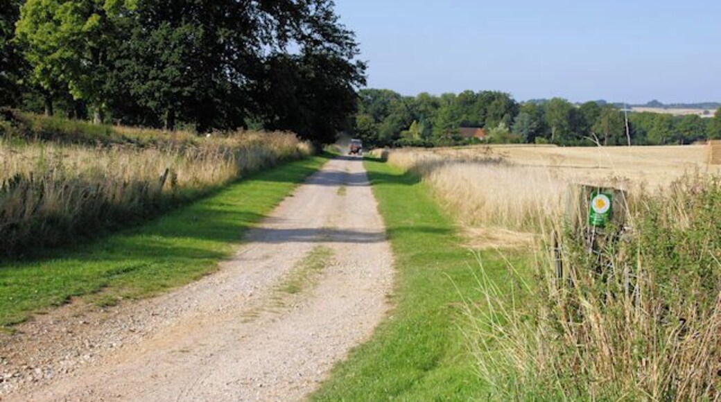 Farm Track Crossing the Itchen Way Looking down a farm track to the east of the golf course. The Itchen Way and St Swithun's Way cross from right to left.