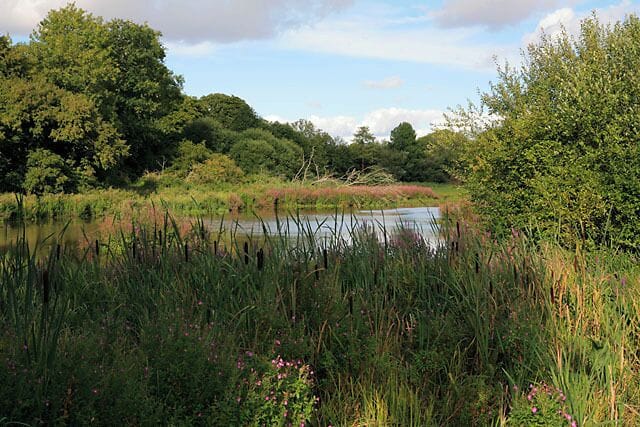 Avington Lake. Seen from a park owned by Hampshire County Council. This was all I could see of the lake, although it is much bigger than shown.
