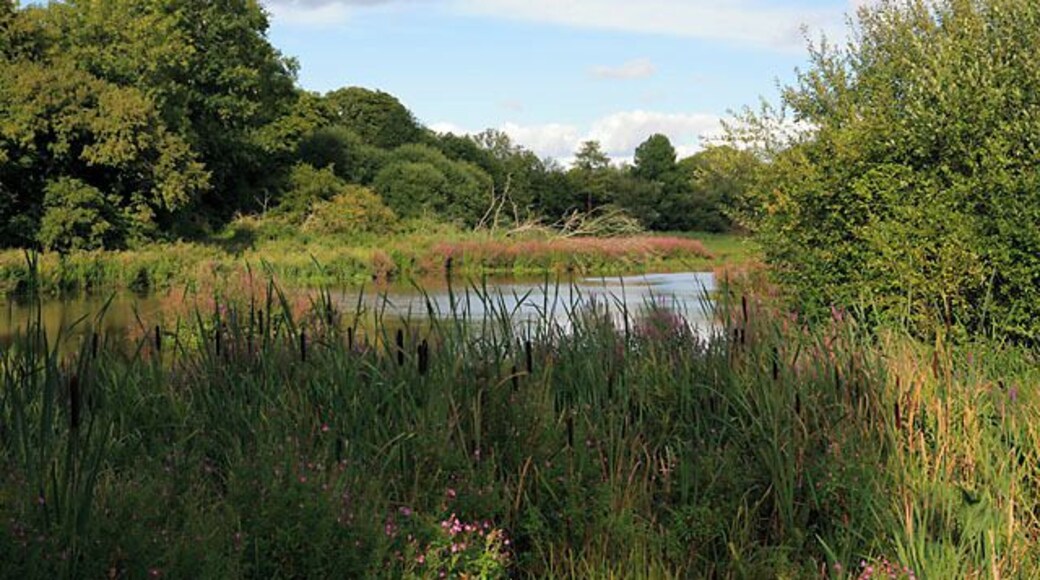 Avington Lake. Seen from a park owned by Hampshire County Council. This was all I could see of the lake, although it is much bigger than shown.