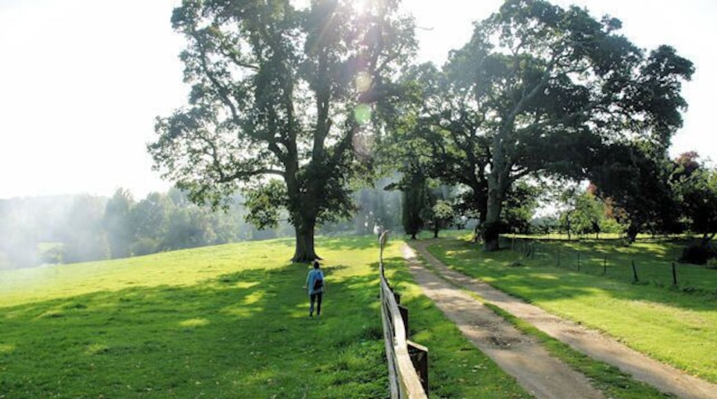 Itchen Way, Itchen Abbas Heading west towards bonfire smoke along the southern edge of the village.