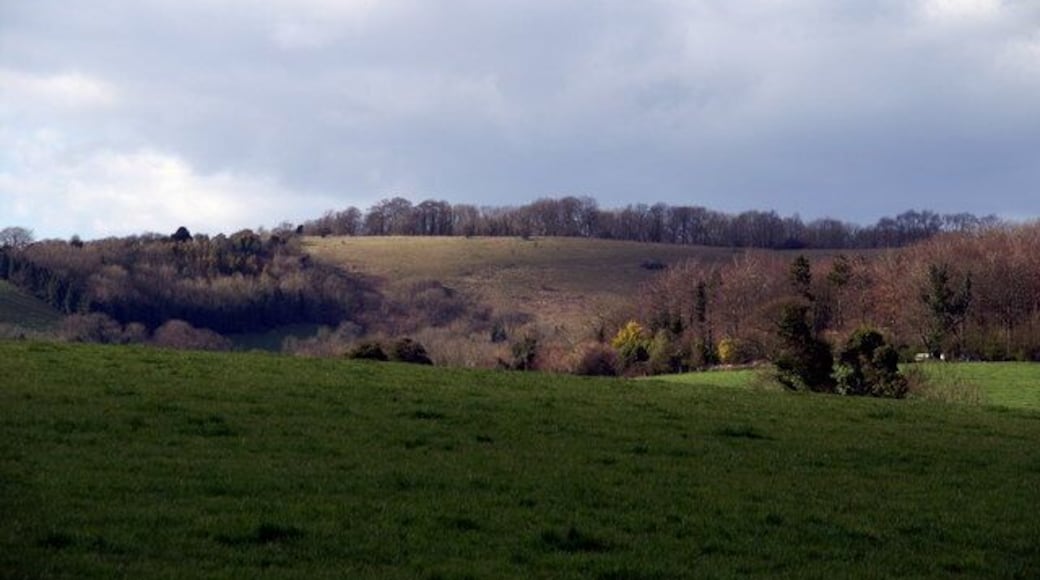 View towards Beacon Hill Looking north-west from the South Downs Way near Church lane, Exton.