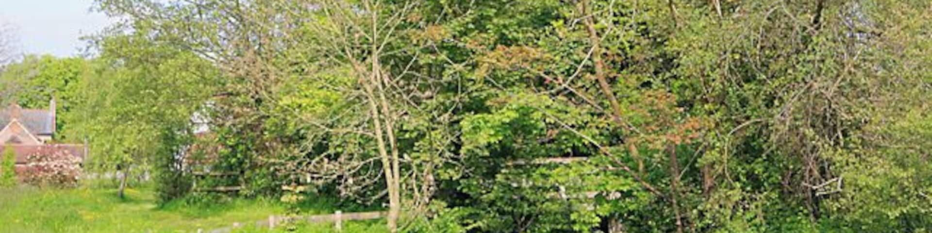 Weir on River Meon at Exton Seen from the garden opposite The Shoe pub.