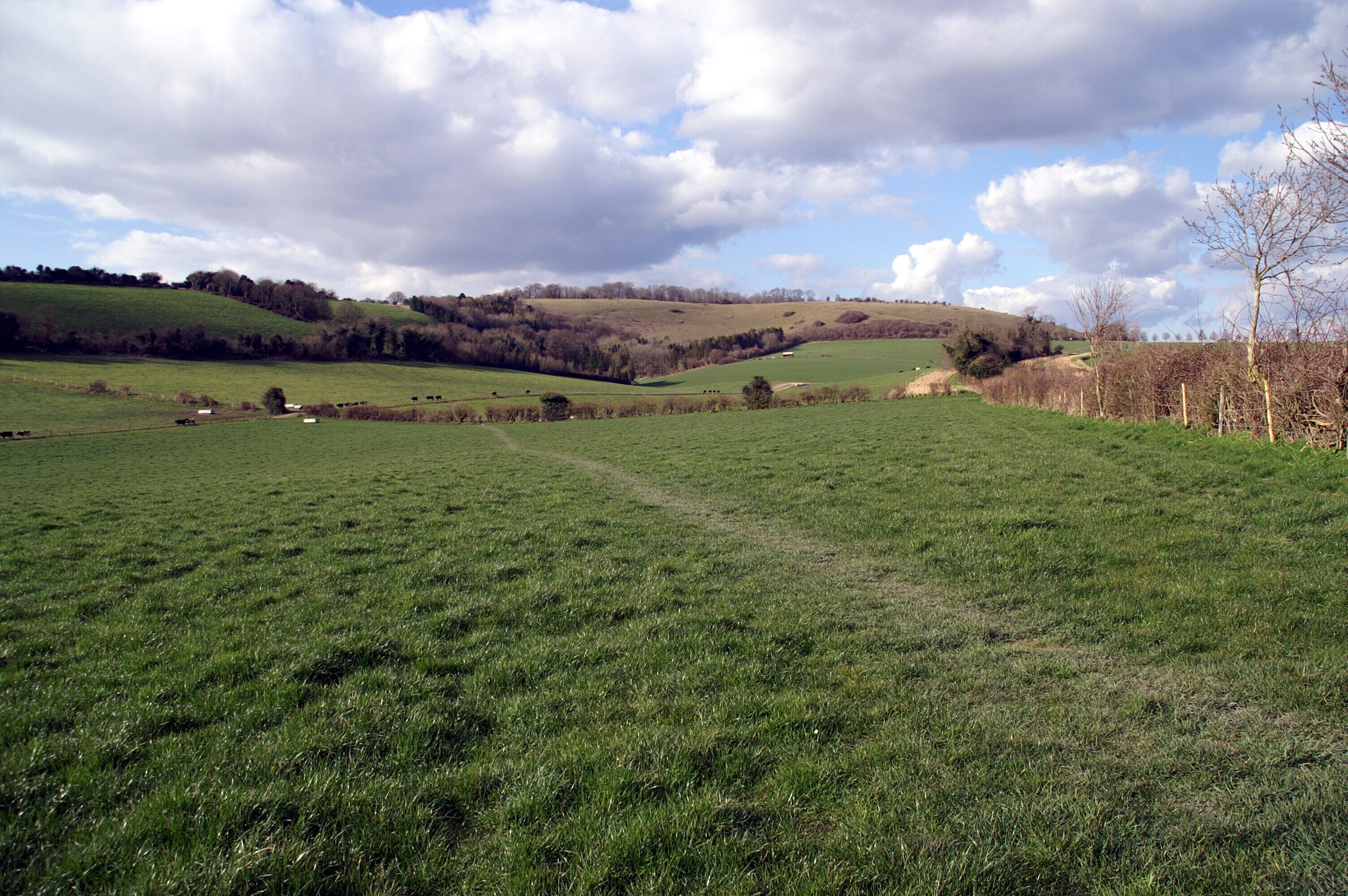 The combe on the south-eastern side of Beacon Hill in the parish of Exton, Hampshire. A temporary route of the South Downs Way heads towards the summit.