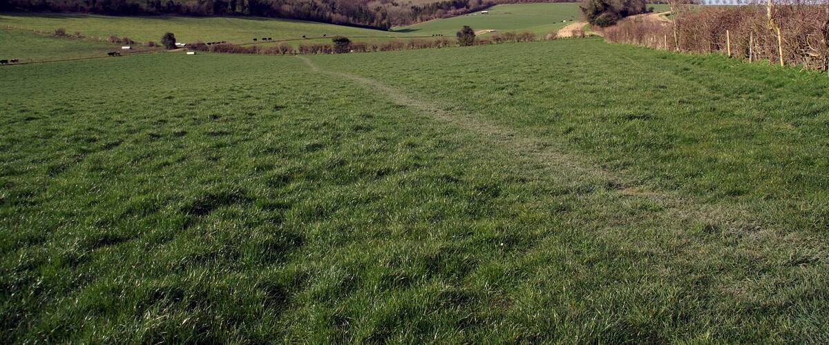 The combe on the south-eastern side of Beacon Hill in the parish of Exton, Hampshire. A temporary route of the South Downs Way heads towards the summit.