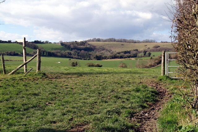 South Downs Way near Exton Looking towards Beacon Hill.