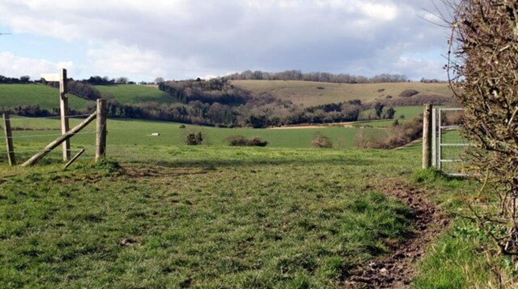 South Downs Way near Exton Looking towards Beacon Hill.
