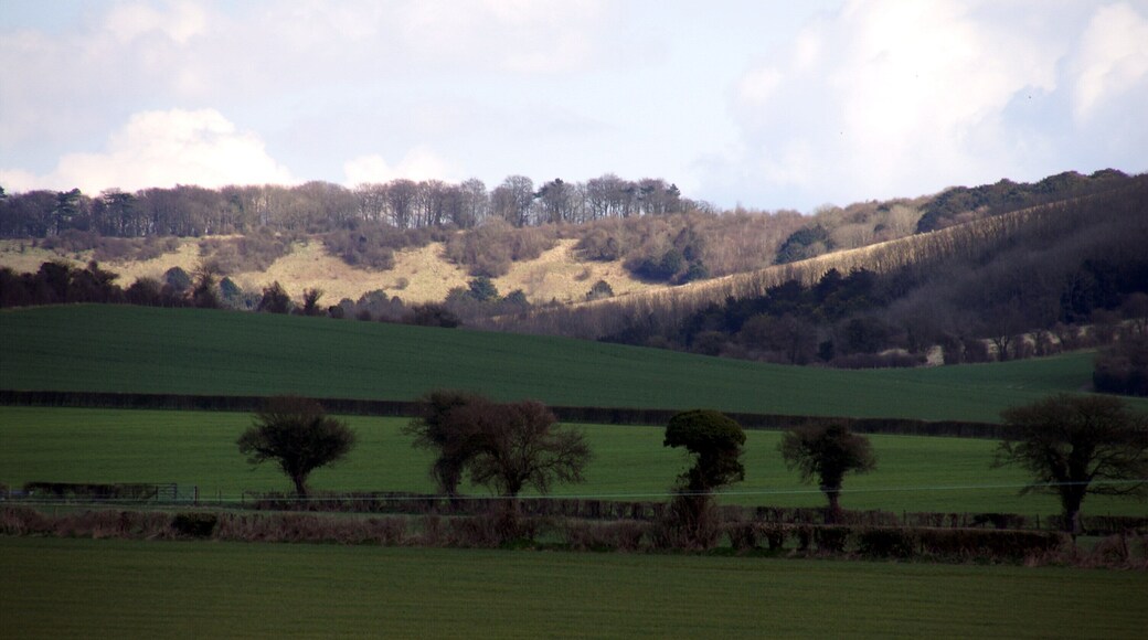 View to Old Winchester Hill from Meon Valley Railway Line trail near Meonstoke, Hampshire