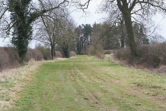 Pinfold Lane, Market Overton. Pinfold Lane is surfaced up to the entrance to the Fishing Lake then becomes this broad green "ride". In the centre of the square it becomes a proper road once more on its way to RAF Cottesmore.