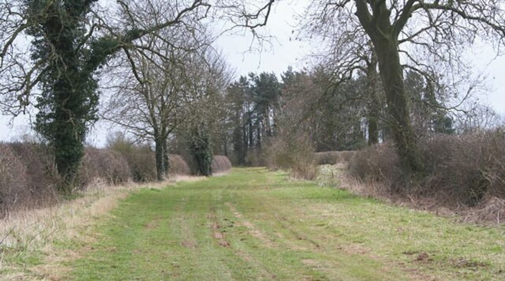 Pinfold Lane, Market Overton. Pinfold Lane is surfaced up to the entrance to the Fishing Lake then becomes this broad green "ride". In the centre of the square it becomes a proper road once more on its way to RAF Cottesmore.