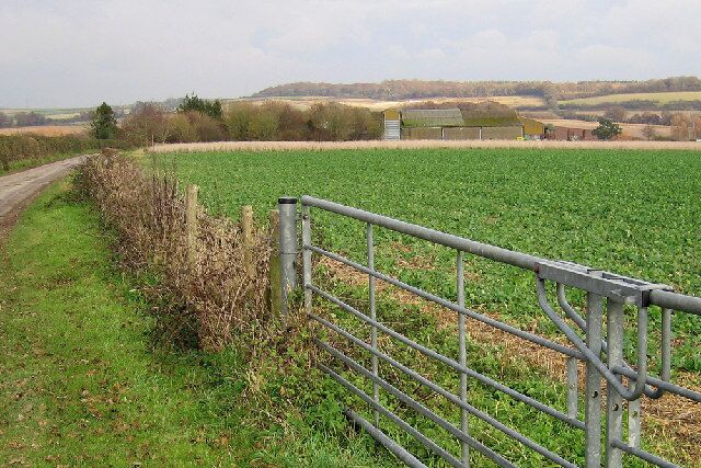 Westover Farm. Looking North East down the track to the farm (from the high end of the track)