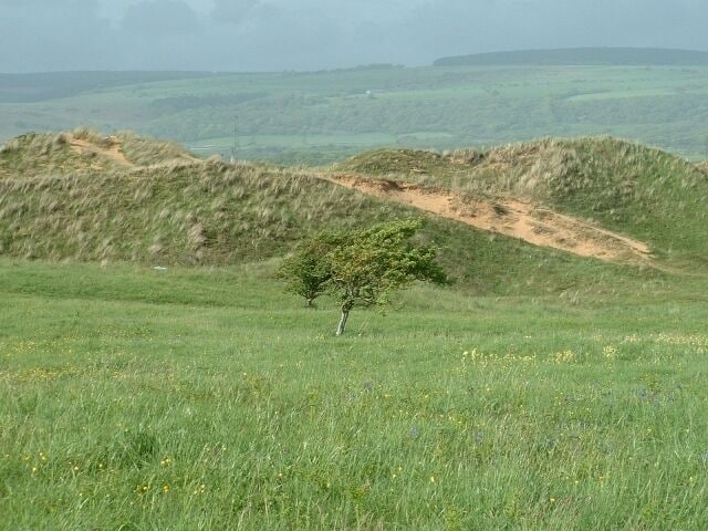 Kenfig Dune. Close up of one of the many dunes in this area at the eastern end of the Kenfig Burrows.