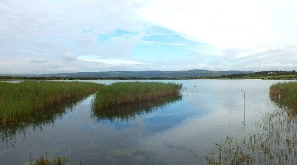 Kenfig Pool