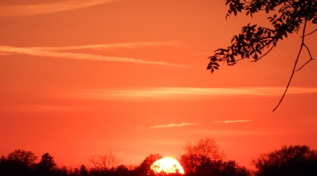 Great food and sunsets