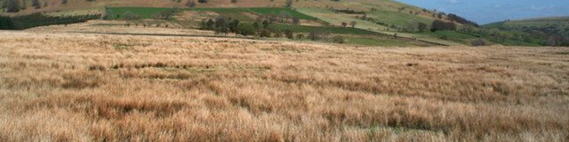 Great Mell Fell View from Binks Moss looking across rough pasture towards Racy Cottage at the foot of Great Mell Fell.