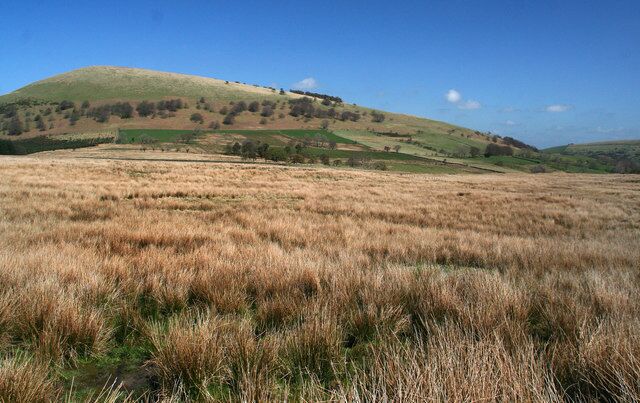 A grassy field with rolling hills and a clear blue sky.