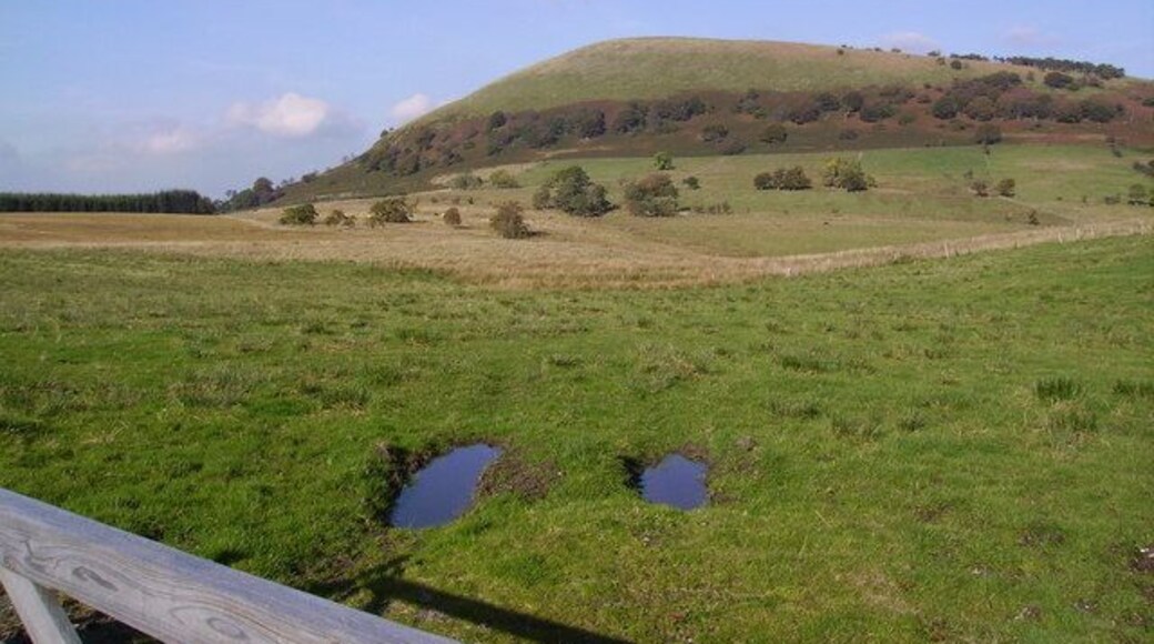 Above Rushmire Looking towards Great Mell Fell from the road.