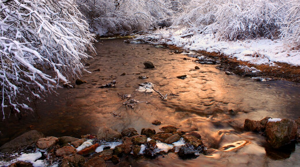 Willow Creek Winter Scene Illinois