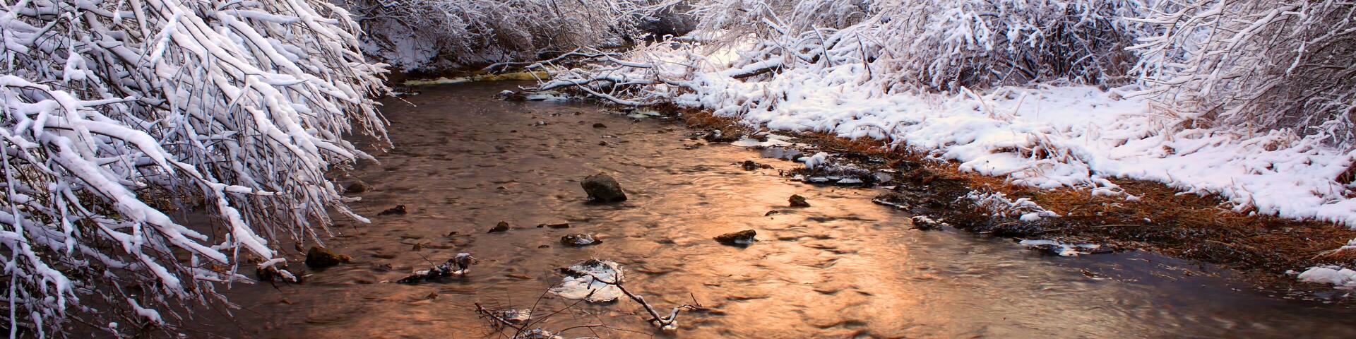 Willow Creek Winter Scene Illinois