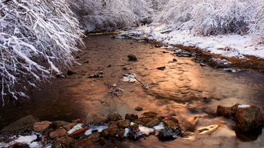 Willow Creek Winter Scene Illinois