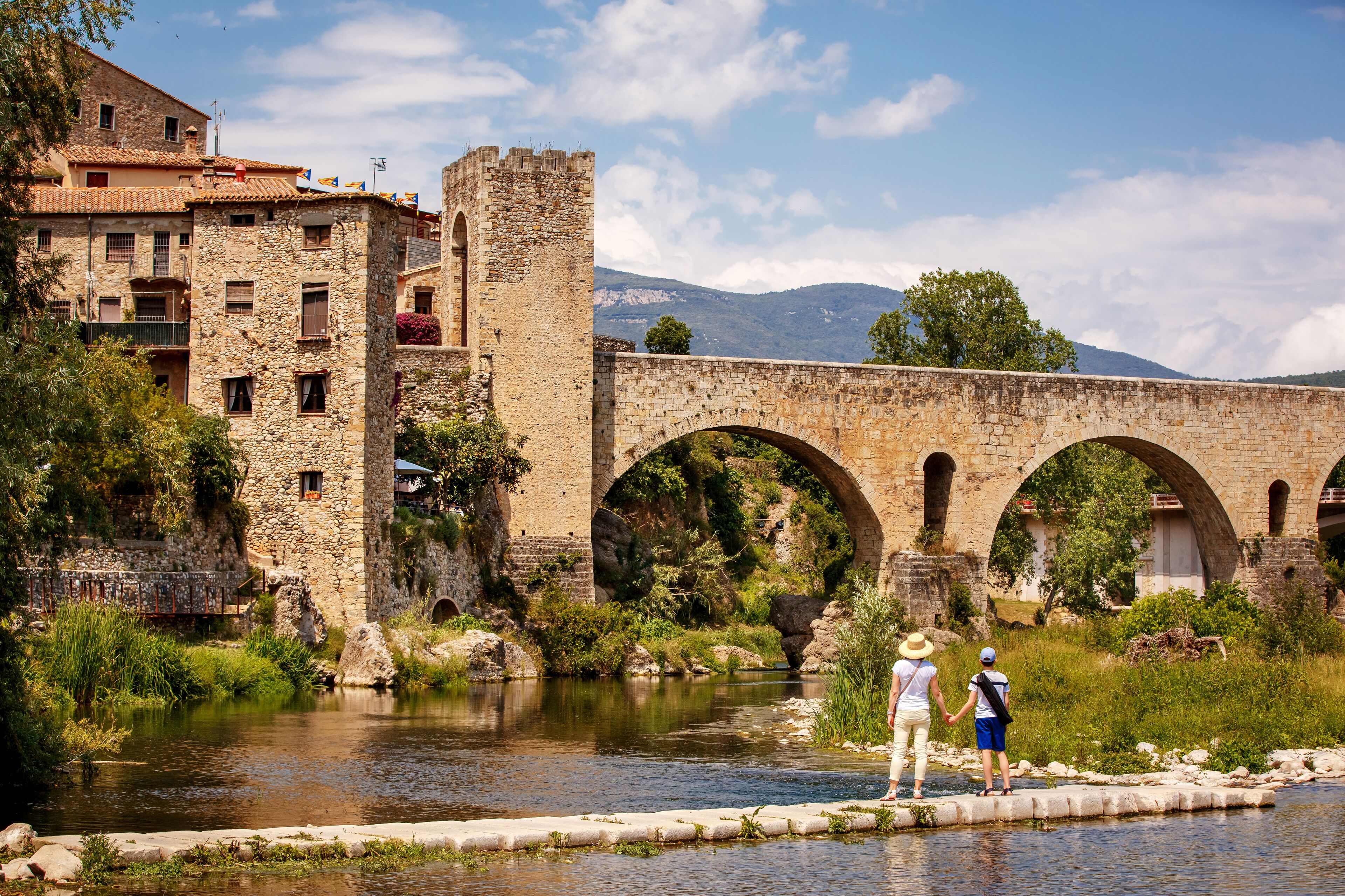 A stone bridge over a river, surrounded by greenery and historic buildings.