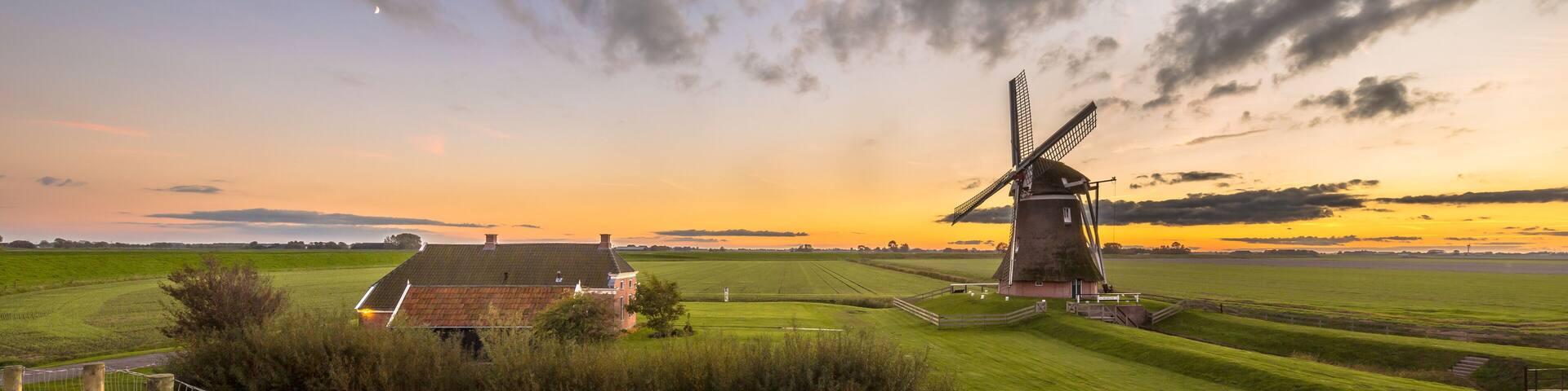 Dutch Wooden windmill in grassy dairy landscape
