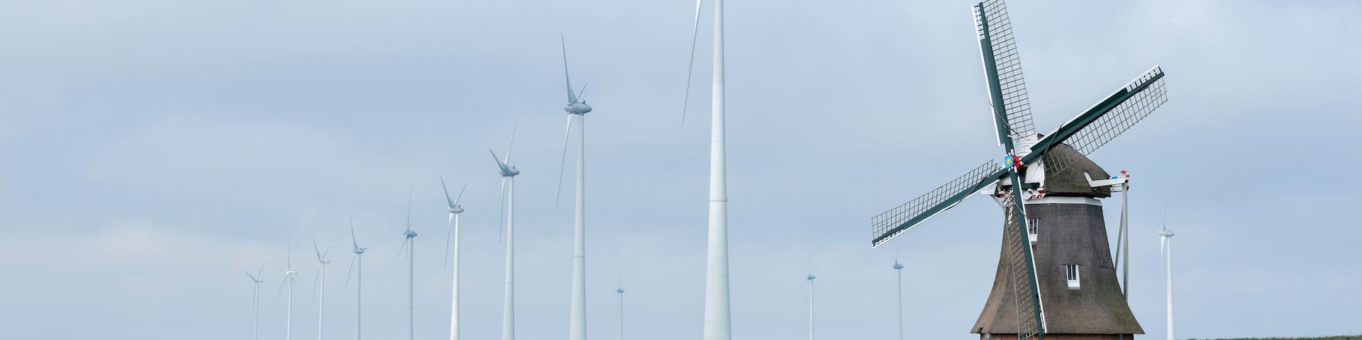 old windmill goliath at roodeschool in the dutch province of groningen between row of modern wind turbines