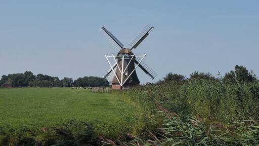 Molen de Zilvermeeuw.
#windmill