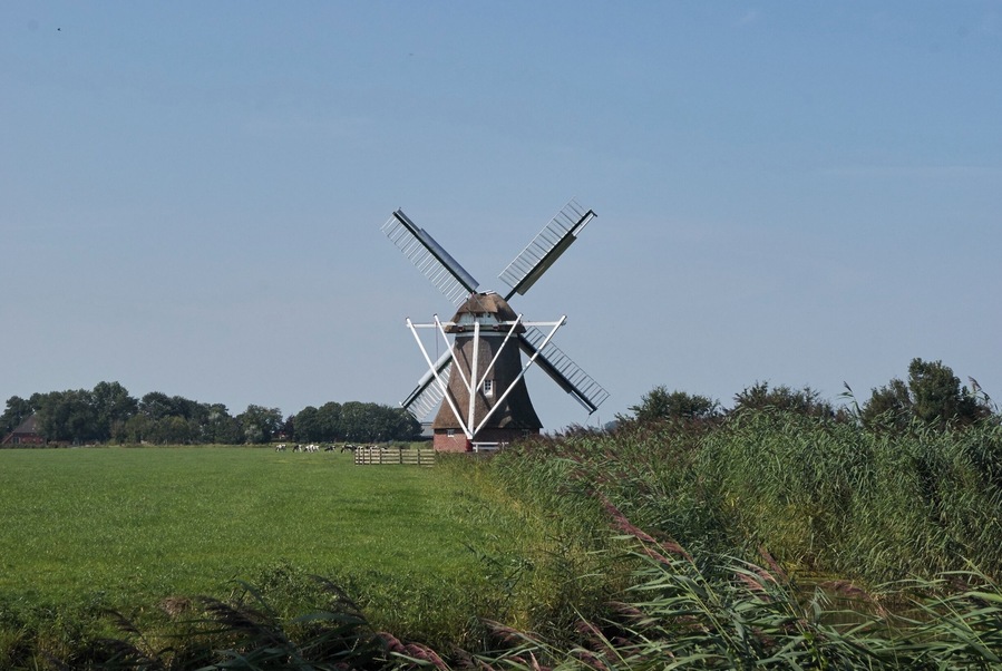 Molen de Zilvermeeuw.
#windmill