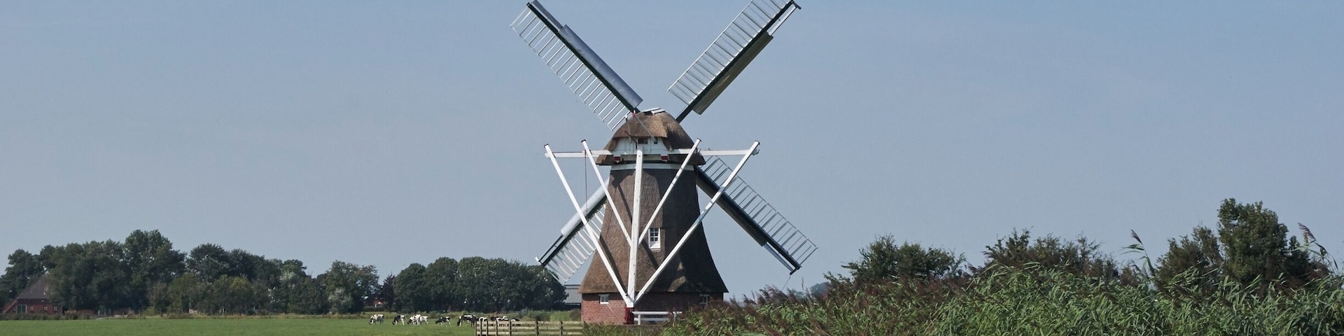 Molen de Zilvermeeuw.
#windmill