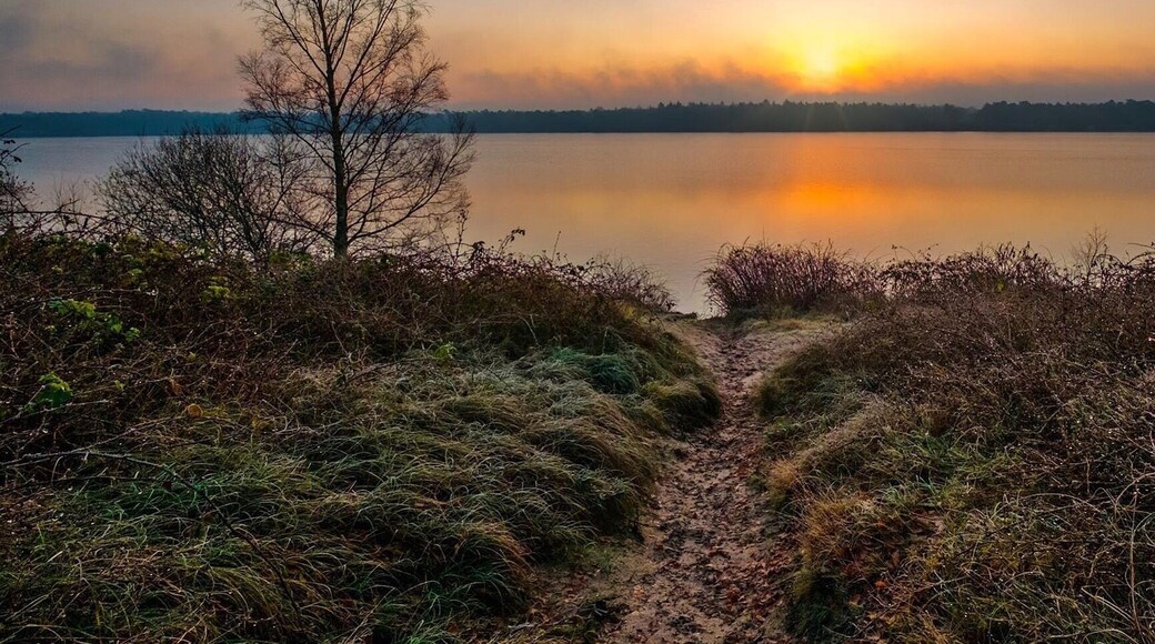 Big lake with woods and heather, paths all around, even wheelchairproof. Also there is a little handpowered ferry that u can use to get across the lake, right in the middle. I got some shots from the middle of the lake using it. Quite fun, but the cable u have to pull got really wet and cold, so bring thick gloves..!