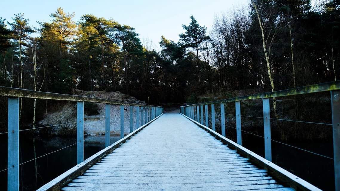 Frost makes certain places extra beautiful #WinterWonders 