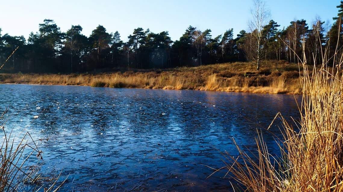 As the winters in Holland are not that cold the last few days it was cold enough for the lake to freeze but still with the clear sky and shy winter Sun makes this picture Hollands #WinterWonders 