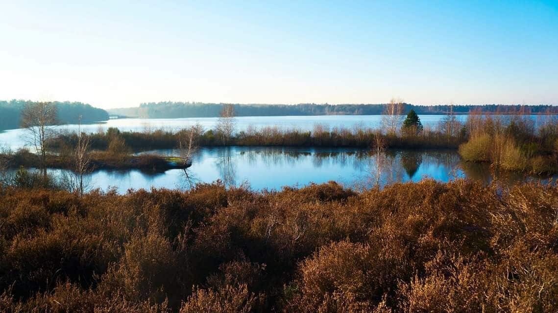 Municipality of Bergen