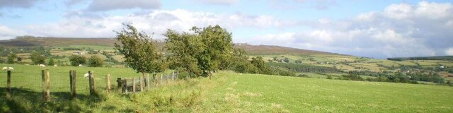 The Shelve to Pennerley footpath Which crosses the fence at the stile just 30 yards ahead.