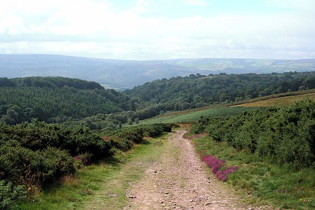Selworthy: above Selworthy Combe View south west towards Exmoor on the track between Selworthy village and Selworthy Beacon
