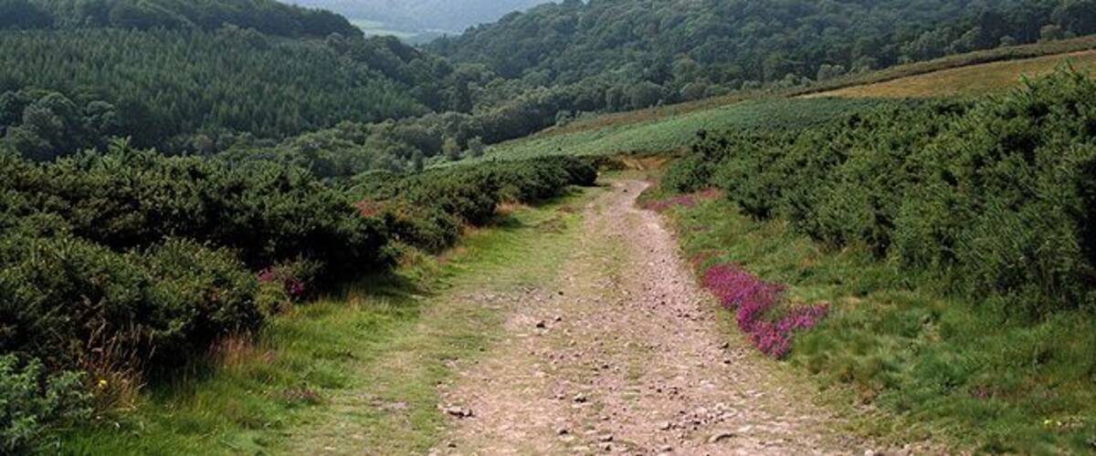 Selworthy: above Selworthy Combe View south west towards Exmoor on the track between Selworthy village and Selworthy Beacon