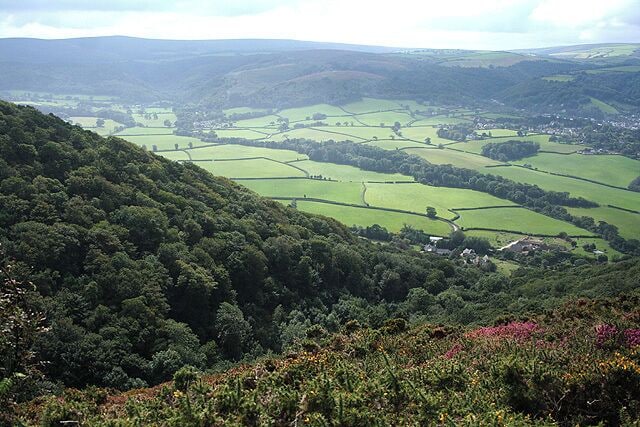 Selworthy: towards West Lynch With Exmoor on the horizon. West Lynch - beyond the square - is the group of buildings immediately below Lynch Combe and includes a malthouse - the last of several in the Vale of Porlock, see 77458, and a watermill and tannery also existed here. Nearby is a medieval chapel and adjoining it Exmoor Falconry at West Lynch Farm. The line of trees in mid image marks the course of the Horner Water, a stream running down from Exmoor