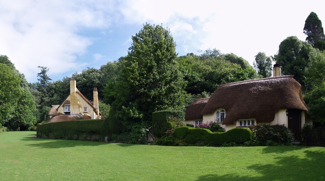 Somerset, Selworthy .