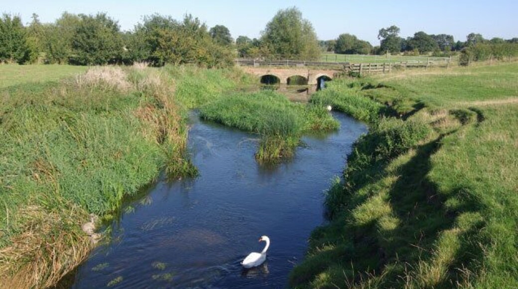 River Avon, Little Lawford Looking upstream towards the bridge carrying the Little Lawford - Long Lawford bridleway on a glorious September afternoon.