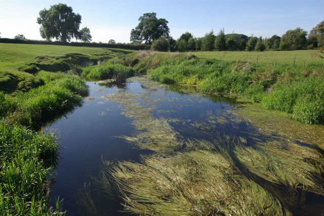 River Avon, Little Lawford Looking downstream from the bridge carrying the Little Lawford - Long Lawford bridleway along a weed-choked stretch of the river.