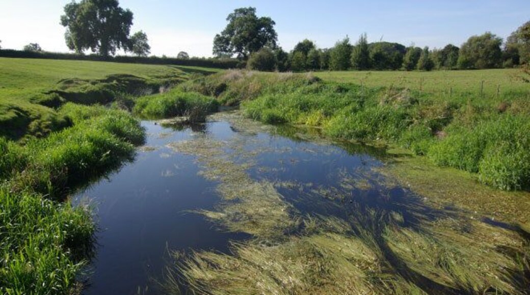 River Avon, Little Lawford Looking downstream from the bridge carrying the Little Lawford - Long Lawford bridleway along a weed-choked stretch of the river.