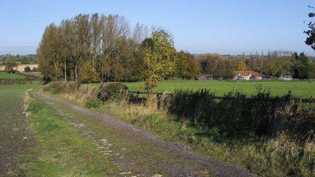 A rural path with a stone wall, fields, and trees.