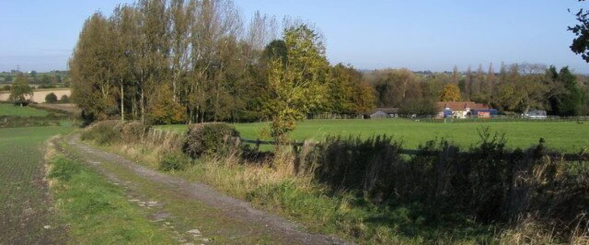 A rural path with a stone wall, fields, and trees.