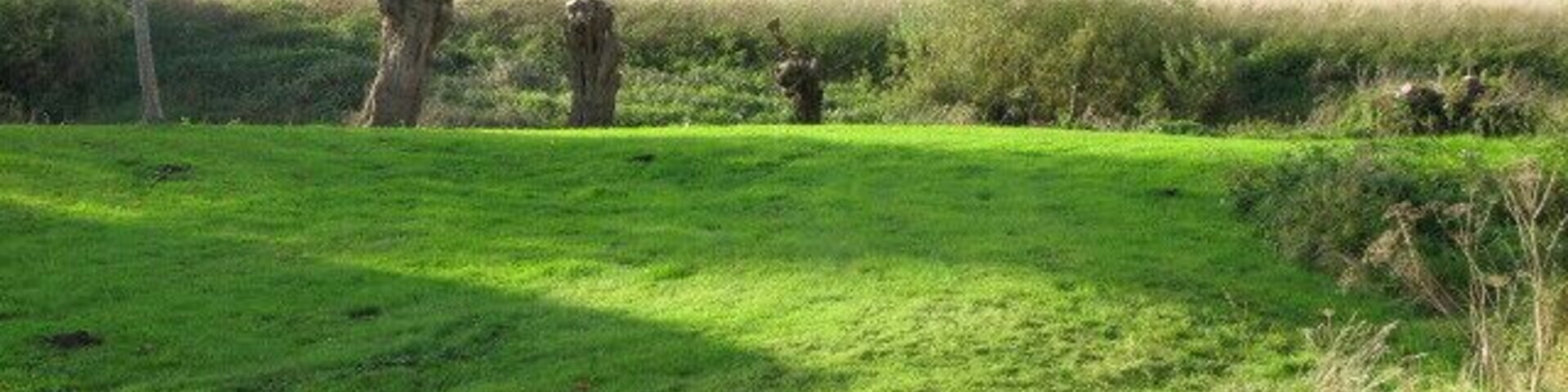 Looking W across fields from church. The reverse view of 1559018