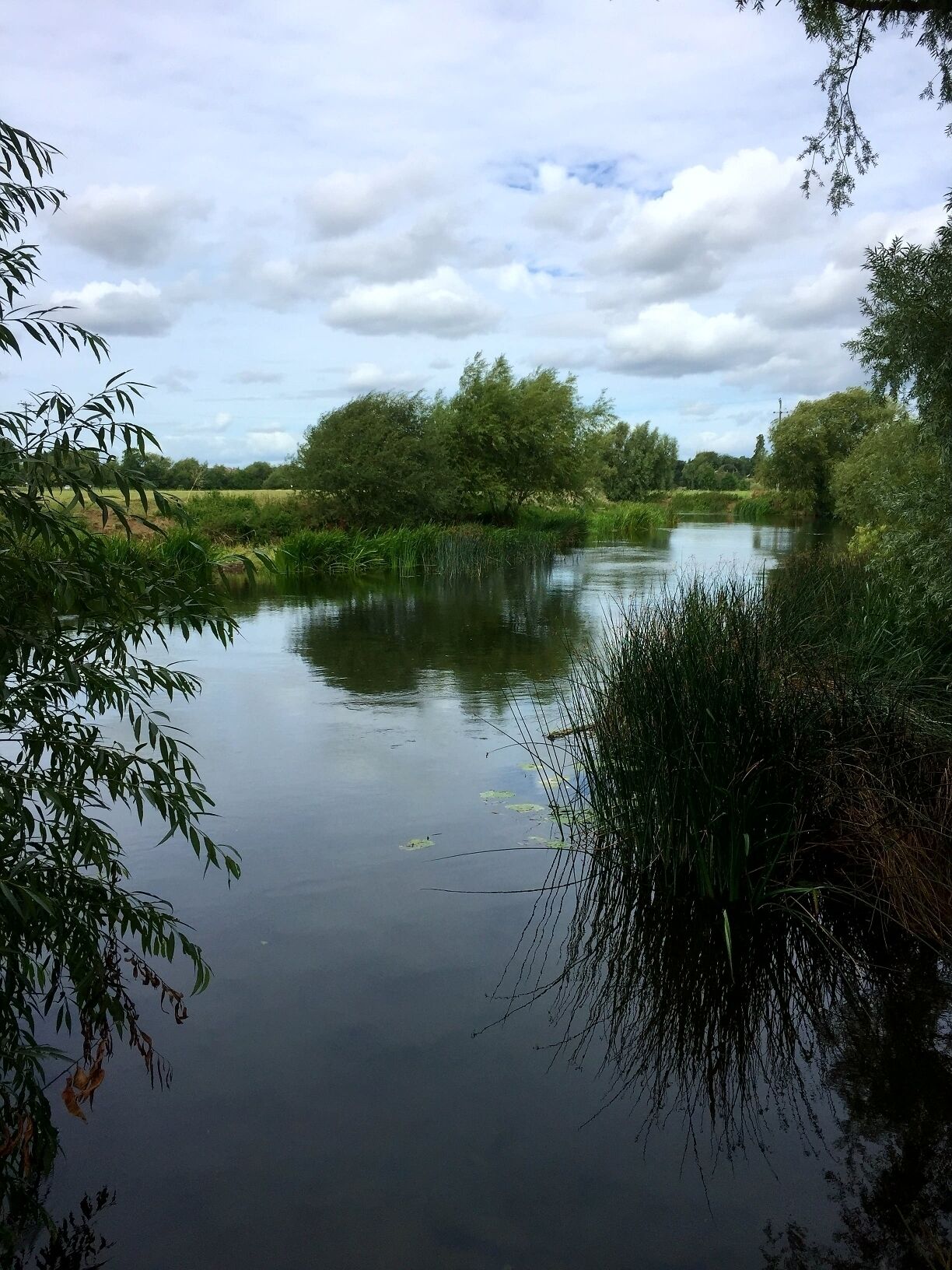The river Avon near Fladbury. #River