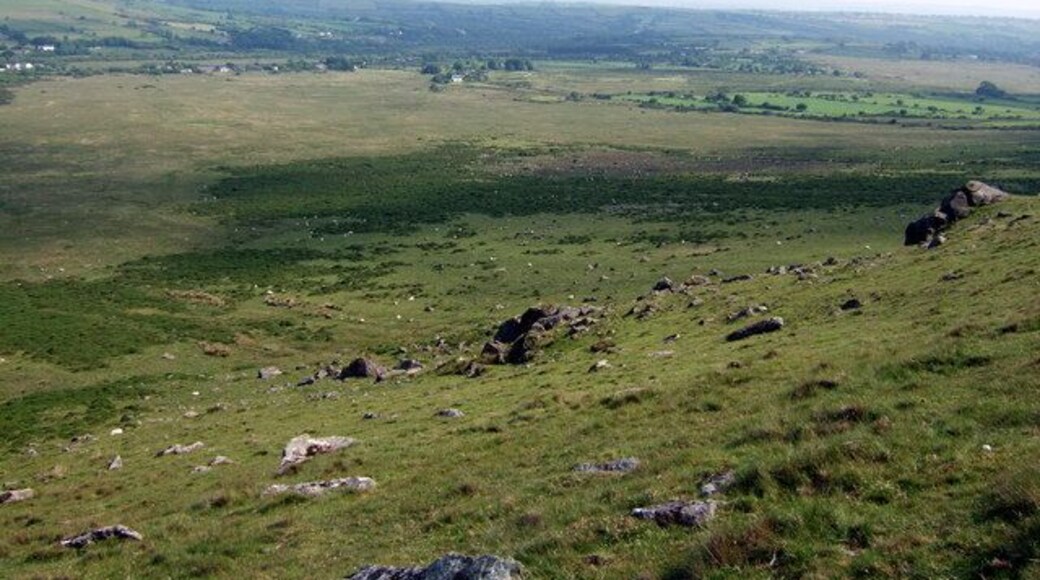 Cors Tewgyll Swampy moorland between the eastern slope of Carn Talfynydd and the dispersed settlement of Mynachlog-ddu, part of which can be seen here. There are two Tewgyll streams running down the valley here from the north (left).