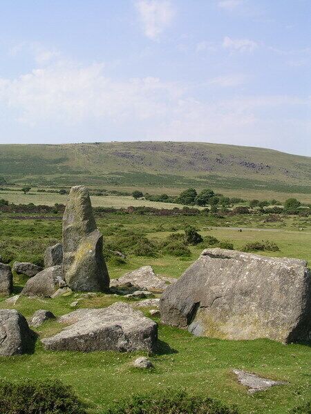 Rhos Fach. Near Mynachlogddu.