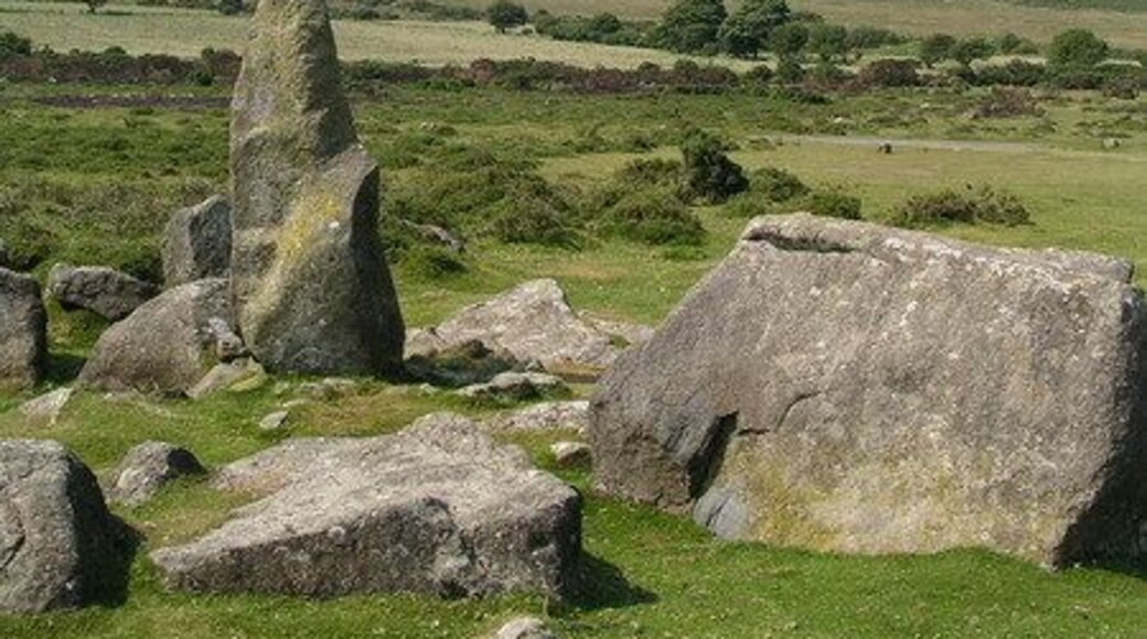 Rhos Fach. Near Mynachlogddu.